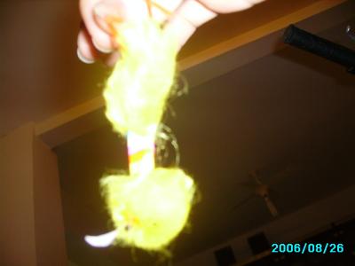 <img400*0:stuff/C%3ADocuments%20and%20SettingsAllisonBureaubladMM%20in%20Israel16.JPG>