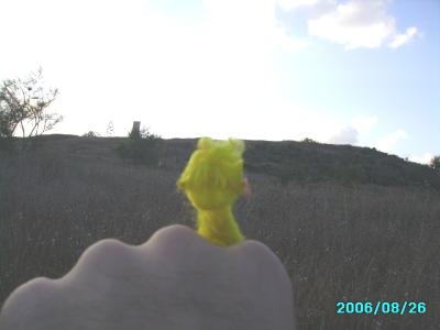 <img400*0:stuff/C%3ADocuments%20and%20SettingsAllisonBureaubladMM%20in%20Israel4.JPG>