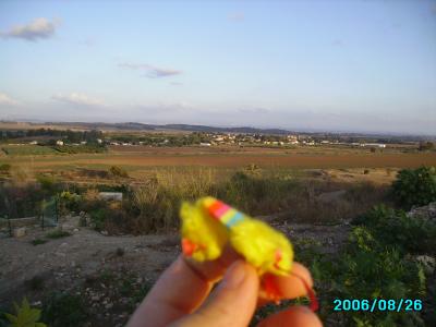 <img400*0:stuff/C%3ADocuments%20and%20SettingsAllisonBureaubladMM%20in%20Israel7.JPG>