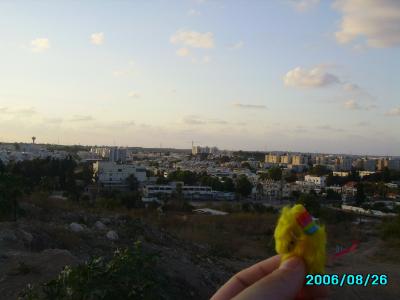<img400*0:stuff/C%3ADocuments%20and%20SettingsAllisonBureaubladMM%20in%20Israel9.JPG>