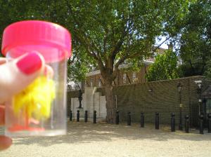 <img300*0:stuff/C%3ADocuments%20and%20SettingsAllisonBureaubladVakantie%20foto%27s%20engeland102.bmp.jpg>