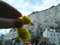 <img200*0:stuff/C%3ADocuments%20and%20SettingsAllisonBureaubladVakantie%20foto%27s%20engeland12.bmp.jpg>
