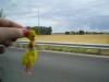 <img100*0:stuff/C%3ADocuments%20and%20SettingsAllisonBureaubladVakantie%20foto%27s%20engeland2.bmp.jpg>