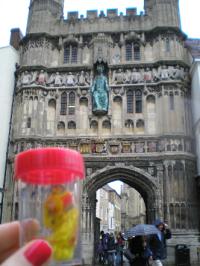 <img200*0:stuff/C%3ADocuments%20and%20SettingsAllisonBureaubladVakantie%20foto%27s%20engeland25.bmp.jpg>