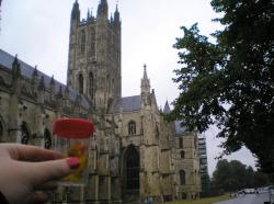 <img250*0:stuff/C%3ADocuments%20and%20SettingsAllisonBureaubladVakantie%20foto%27s%20engeland27.bmp.jpg>