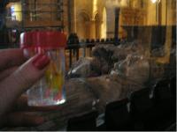 <img200*0:stuff/C%3ADocuments%20and%20SettingsAllisonBureaubladVakantie%20foto%27s%20engeland46.bmp.jpg>