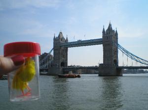 <img300*0:stuff/C%3ADocuments%20and%20SettingsAllisonBureaubladVakantie%20foto%27s%20engeland80.bmp.jpg>