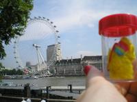 <img200*0:stuff/C%3ADocuments%20and%20SettingsAllisonBureaubladVakantie%20foto%27s%20engeland90.bmp.jpg>