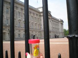 <img250*0:stuff/C%3ADocuments%20and%20SettingsAllisonBureaubladVakantie%20foto%27s%20engeland95.bmp.jpg>