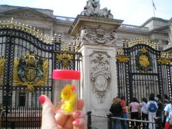 <img250*0:stuff/C%3ADocuments%20and%20SettingsAllisonBureaubladVakantie%20foto%27s%20engeland99.bmp.jpg>