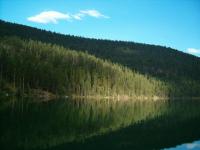 <img200*0:stuff/C%3ADocuments%20and%20SettingsAngiMy%20DocumentsMy%20Pictures2006-07%20(Jul)HPIM0660.JPG>