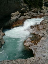 <img200*0:stuff/C%3ADocuments%20and%20SettingsAngiMy%20DocumentsMy%20Pictures2006-08%20(Aug)HPIM0722.JPG>