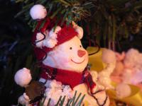 <img200*0:stuff/C%3ADocuments%20and%20SettingsAngieMy%20DocumentsMy%20PicturesChristmas2006_12_26DSCN1150.JPG>
