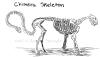 <img100*0:stuff/C%3ADocuments%20and%20SettingsAnnaleeDesktopChimera%20Skeleton.jpg>
