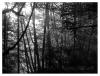 <img100*0:stuff/C%3ADocuments%20and%20SettingsAnnaleeDesktopPicturesCamping%202006FilteredLight.jpg>