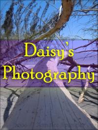 <img200*0:stuff/C%3ADocuments%20and%20SettingsAnnaleeDesktopPicturesDaisysPhotography.jpg>