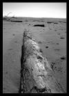 <img100*0:stuff/C%3ADocuments%20and%20SettingsAnnaleeDesktopPicturesNatureBeachLog.jpg>