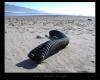 <img100*0:stuff/C%3ADocuments%20and%20SettingsAnnaleeDesktopPicturesNatureBeachTubeyBeach.jpg>