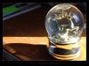<img100*0:stuff/C%3ADocuments%20and%20SettingsAnnaleeDesktopPicturesReference%20PhotosWaterandGlassSnowGlobeShadow.jpg>