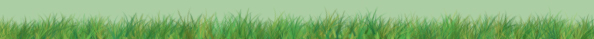 <img:http://elftown.heddate.com/stuff/C%3ADocuments%20and%20SettingsChris%20LightfootMine%20dokumenterkaterinaLUNAS%20EGDIVIDERgrass.jpg>