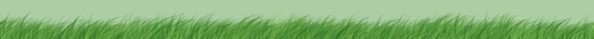 <img:http://elftown.heddate.com/stuff/C%3ADocuments%20and%20SettingsChris%20LightfootMine%20dokumenterkaterinaLUNAS%20EGDIVIDERgrass2.jpg>