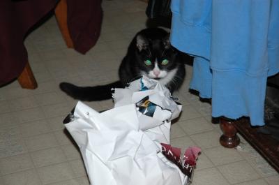 <img400*0:stuff/C%3ADocuments%20and%20SettingsCompaq_AdministratorMy%20DocumentsMy%20PicturesAnimalsDSC_0001.JPG>