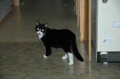 <img400*0:stuff/C%3ADocuments%20and%20SettingsCompaq_AdministratorMy%20DocumentsMy%20PicturesAnimalsDSC_0002.JPG>