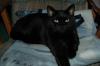 <img100*0:stuff/C%3ADocuments%20and%20SettingsCompaq_AdministratorMy%20DocumentsMy%20PicturesAnimalsDSC_0008.JPG>