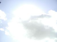 <img200*0:stuff/C%3ADocuments%20and%20SettingsLaceyDesktopElftown%20pictureslacey%20001.jpg>