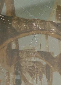 <img200*0:stuff/C%3ADocuments%20and%20SettingsLaceyMy%20DocumentsMy%20PicturesDigital%20PhotosSpiders%20web.JPG>