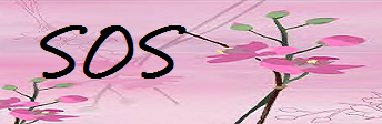 <img:stuff/C%3ADocuments%20and%20SettingsOwnerMy%20DocumentsMy%20Picturessosbanner.bmp.jpg>