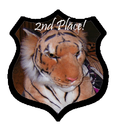 <img:stuff/C%3ADocuments%20and%20SettingsPaulienMijn%20documentenMijn%20afbeeldingenElftown2nd.gif>