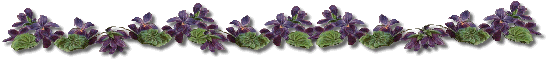 <img:stuff/C%3ADocuments%20and%20Settingsavi%20sabulerMy%20DocumentsMy%20Pictureseastervioletbar.gif>