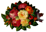 <img:stuff/C%3ADocuments%20and%20Settingsavi%20sabulerMy%20DocumentsMy%20Picturesflowers.gif>