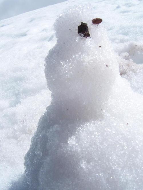 <img500*0:stuff/C%3ADocuments%20and%20SettingscarlosDesktopNew%20FolderSnowman,%20made%20of%20SNOW.jpg>