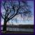 <img50*50:stuff/C%3ADocuments%20and%20SettingshniSkrivebordphoto_001.gif>