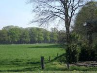 <img200*0:stuff/C%3ADocuments%20and%20SettingsmoederMijn%20documentenMijn%20afbeeldingenIJsselvallei13.JPG>