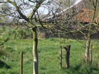 <img200*0:stuff/C%3ADocuments%20and%20SettingsmoederMijn%20documentenMijn%20afbeeldingenIJsselvallei35.JPG>