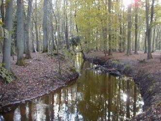 <img:stuff/C%3ADocuments%20and%20SettingsmoederMijn%20documentenMijn%20afbeeldingenVeluwebeek.jpg?y=250>