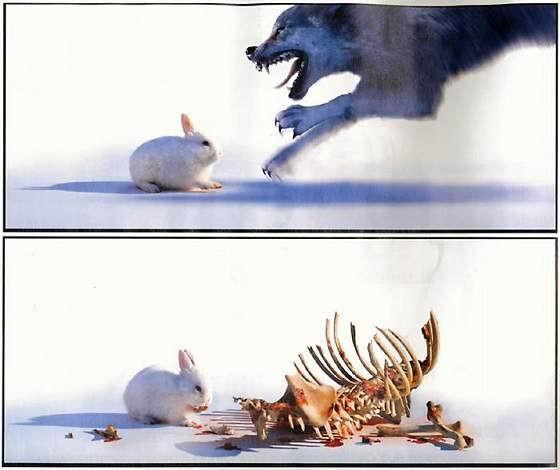 <img:stuff/C%3ADocuments%20and%20SettingsmoiraMy%20DocumentsMy%20Picturesodd%20graphics%20off%20webodd%20imageswolf_attack.jpg>