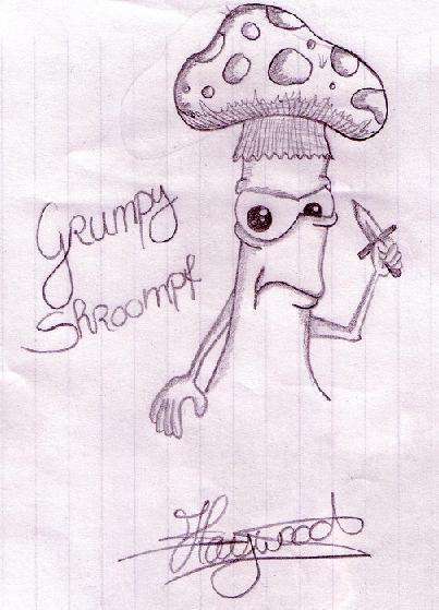 <img:stuff/C%3ADocuments%20and%20SettingsstephMy%20DocumentsMy%20PicturesGrumpy%20Shroompf.JPG.jpg>