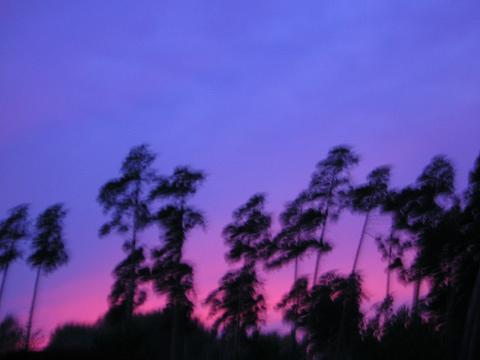 <img:stuff/C%3AFENRIRARTmy%20picturesPhotosusworldforestforrest.JPG>