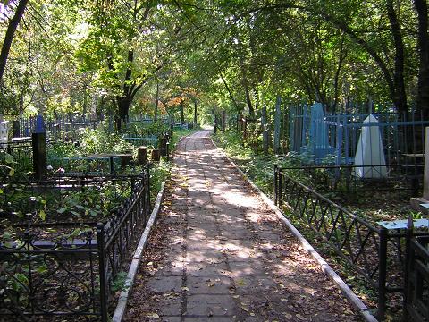 <img:stuff/C%3AFENRIRARTmy%20picturesPhotosusworldforestgraveyard.JPG>