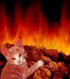 <img100*0:stuff/C%3AMy%20DocumentsAnnaDotPicturesEvilKitty.jpg>
