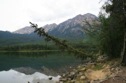 <img250*0:stuff/C%3AUsersCillaPicturesJasper173-1r.jpg>