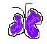 <img:stuff/C%3aUsersAllisonPicturesbutterfly2.jpg>