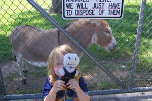 <img300*0:stuff/C%3aUsersBrianDesktopBobs%20Adventure100_2720.JPG>