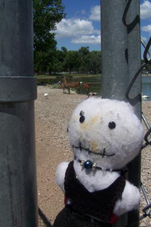<img300*0:stuff/C%3aUsersBrianDesktopBobs%20Adventure100_2731.JPG>