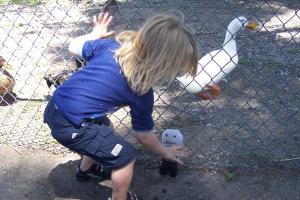 <img300*0:stuff/C%3aUsersBrianDesktopBobs%20Adventure100_2734.JPG>
