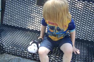 <img300*0:stuff/C%3aUsersBrianDesktopBobs%20Adventure100_2735.JPG>